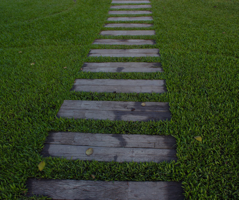 distributeur de brosseuse pour gazon avec aspirateur