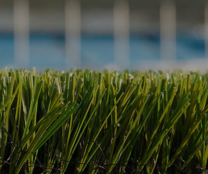 distributeur de brosses électriques pour pelouse synthétique
